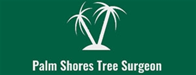 Palm Shores Tree Surgeon
